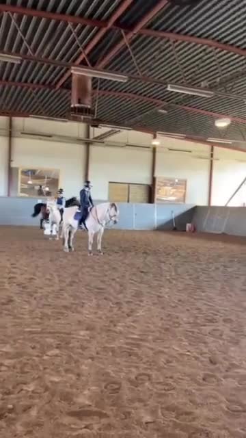 @🐎Ridning🐎 {3,8K}