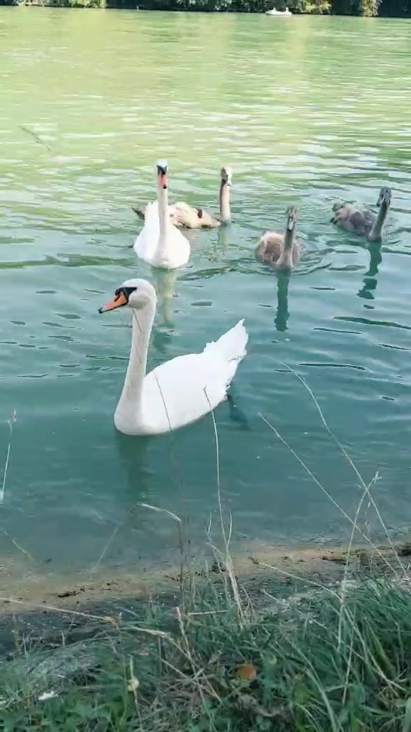 @user2993107742425