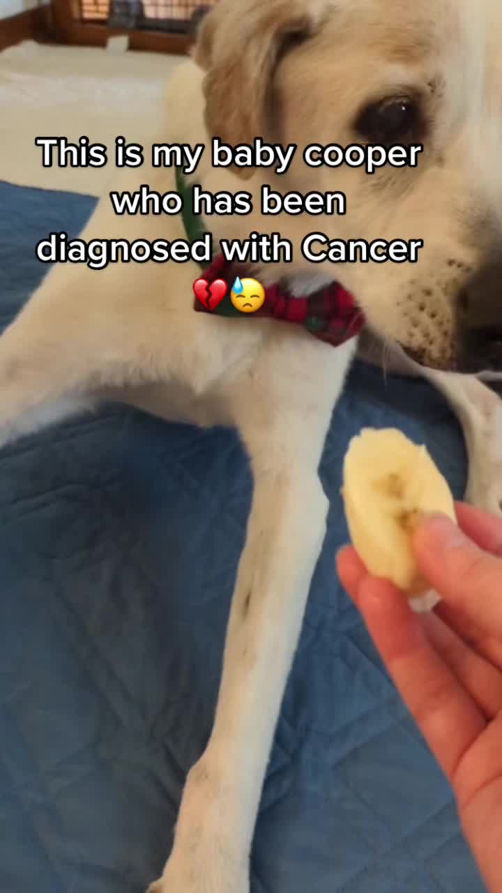 @PrayForCooper
