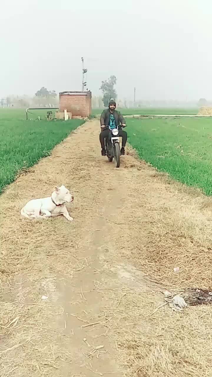 @user2095160896415