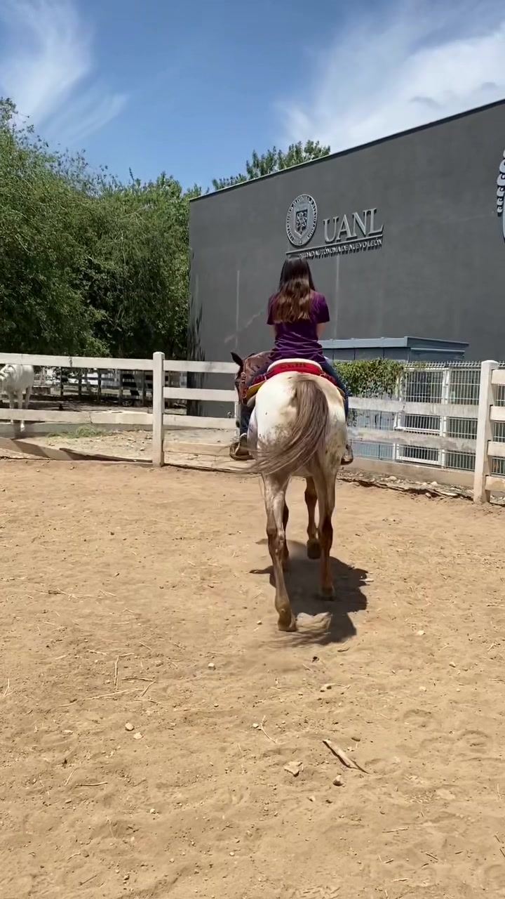 @Kati Vargas