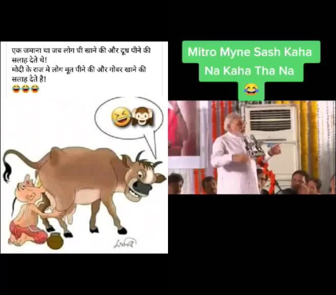 @salimshaikh