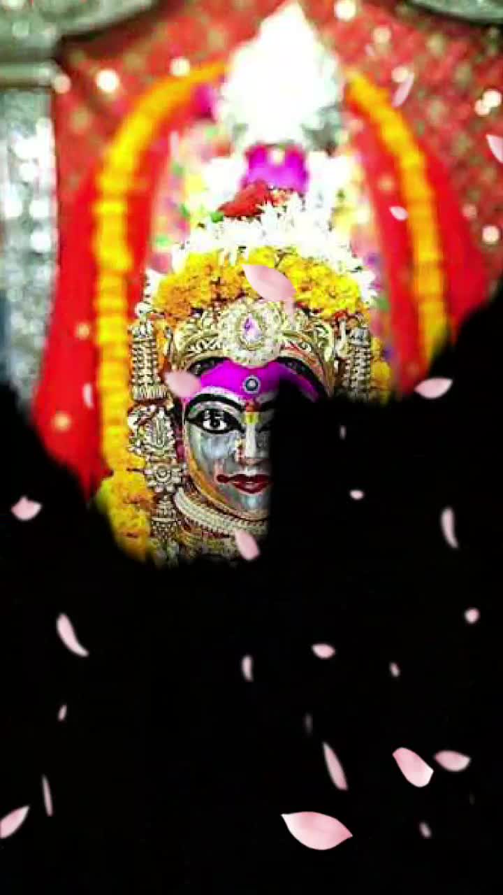 @👑MR👑❗GOHIL❗🔸️7165🔸️