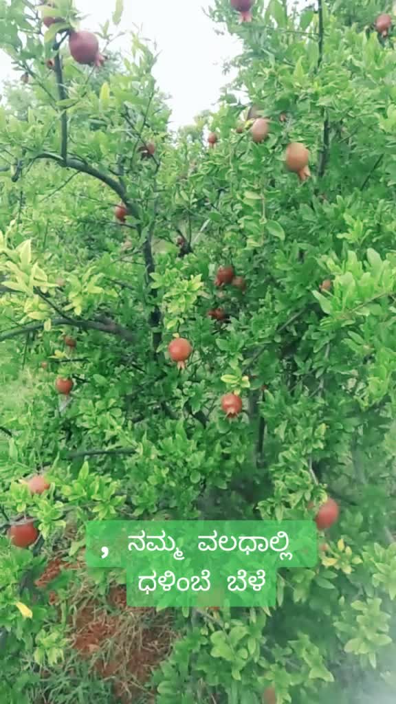 @Harisha Hari