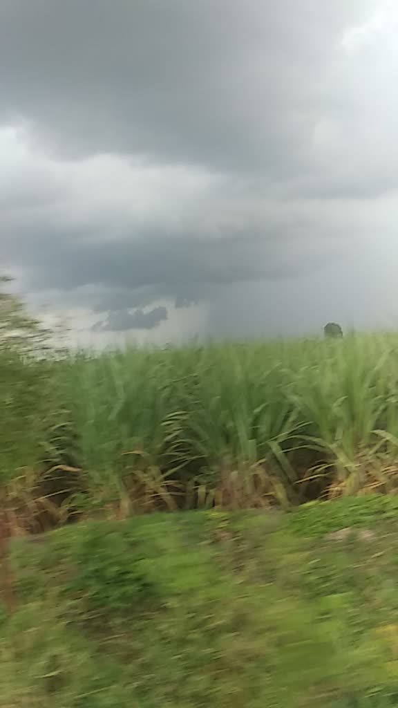 @युवा शेतकरी ७३४६🚜💕