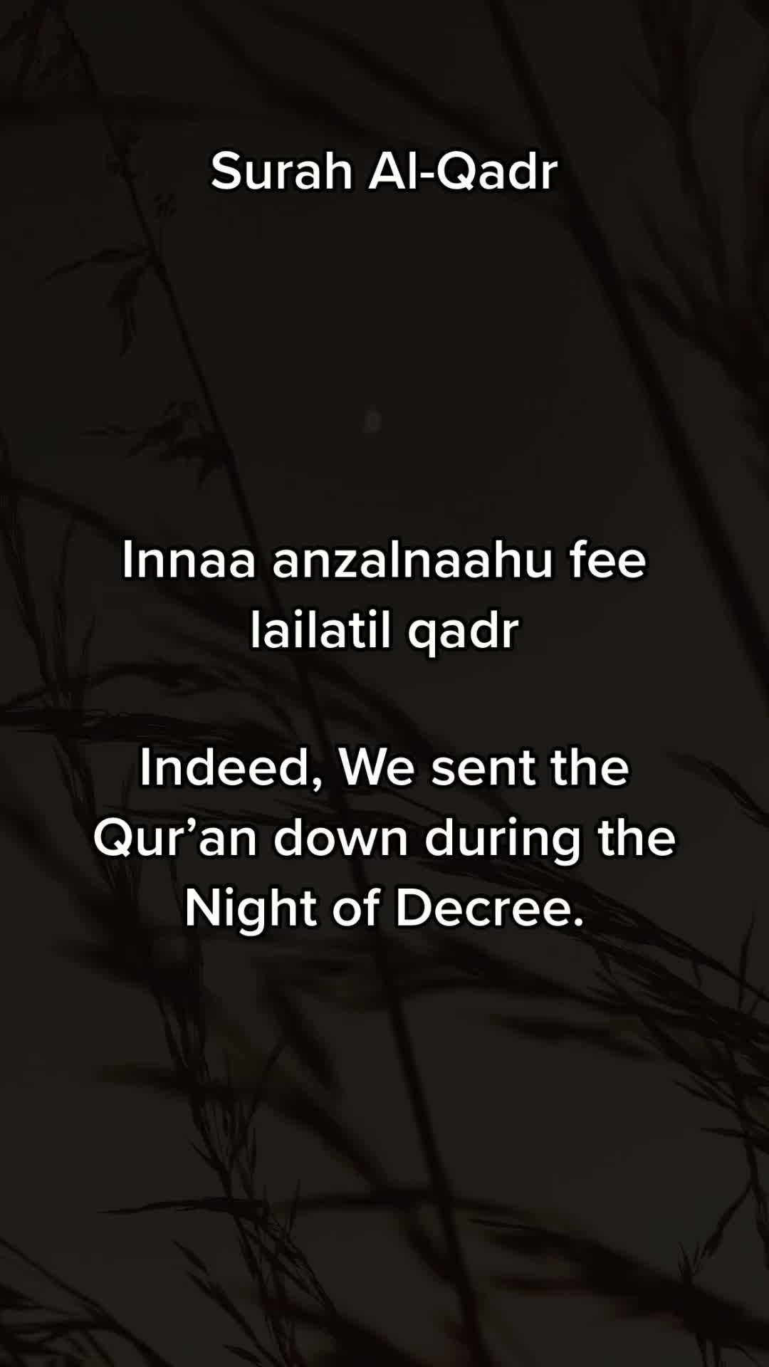 @Quranicrecitationss