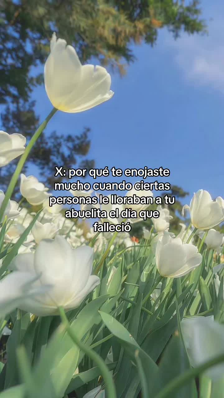 @Lilis