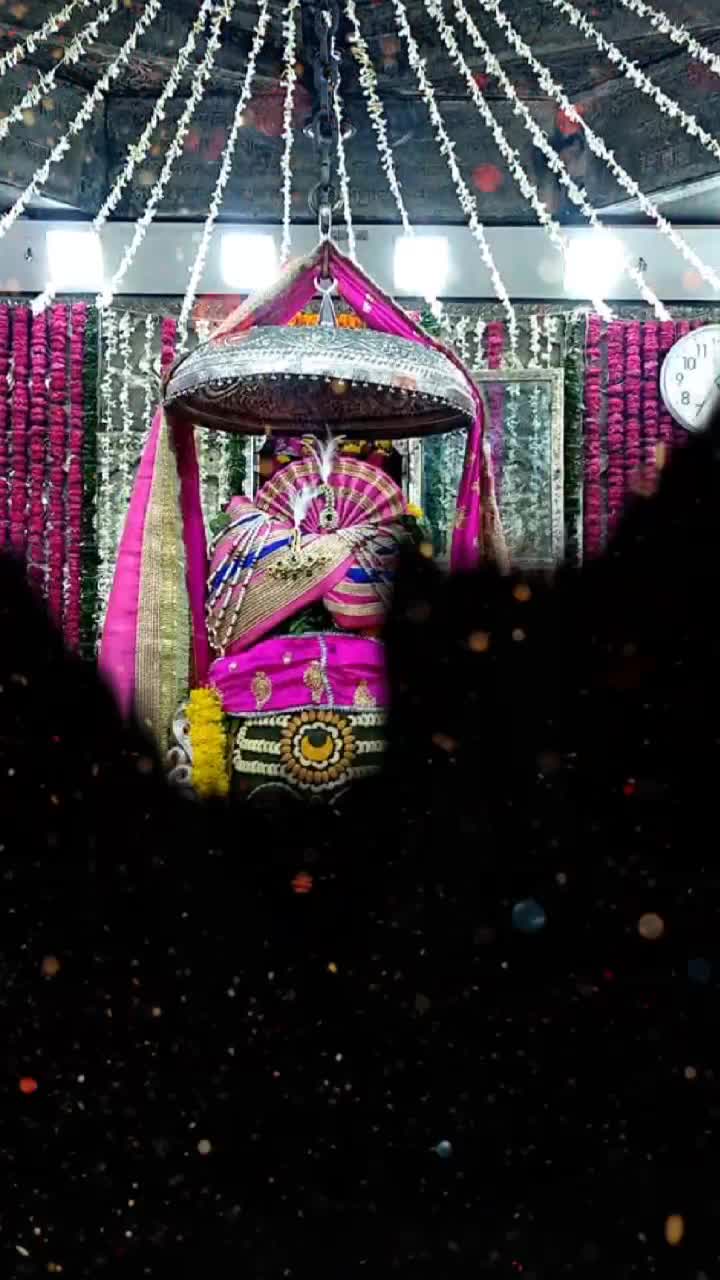 @harish mandloi