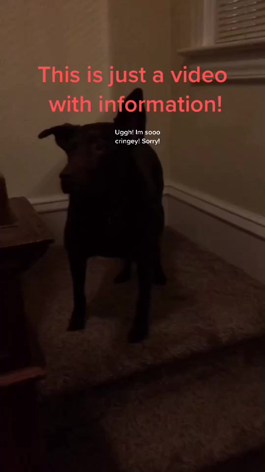 @Penny_girl