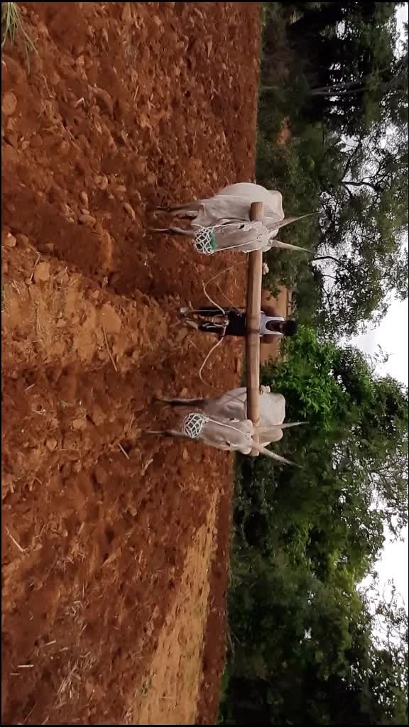 @ಗಂಗಾಧರ್ ಜಿಕೆ