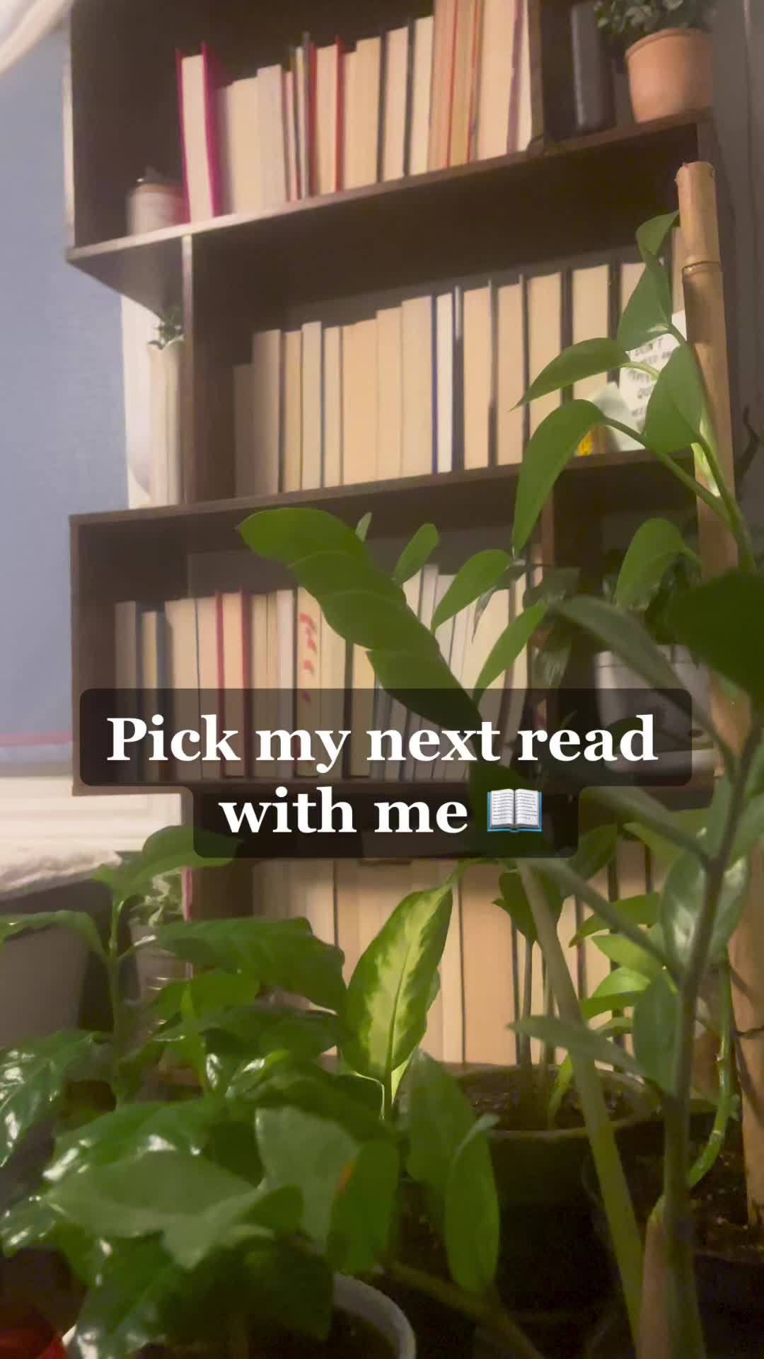 @Chaelynsreads📖🕯️☕️