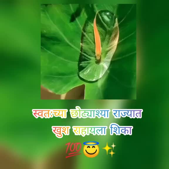 @✨⚡aniruddha⚡✨