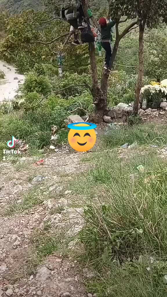 @florindamarti2