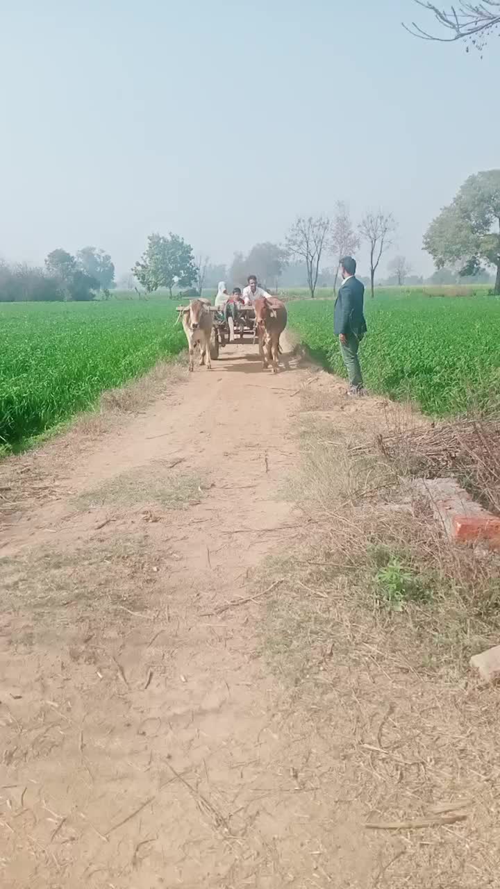 @user5073788121858