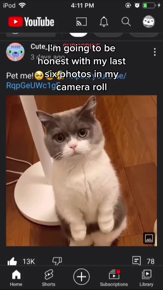 @mobbert