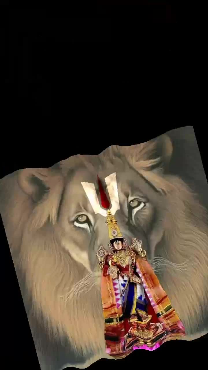 @vaditya venky venkat