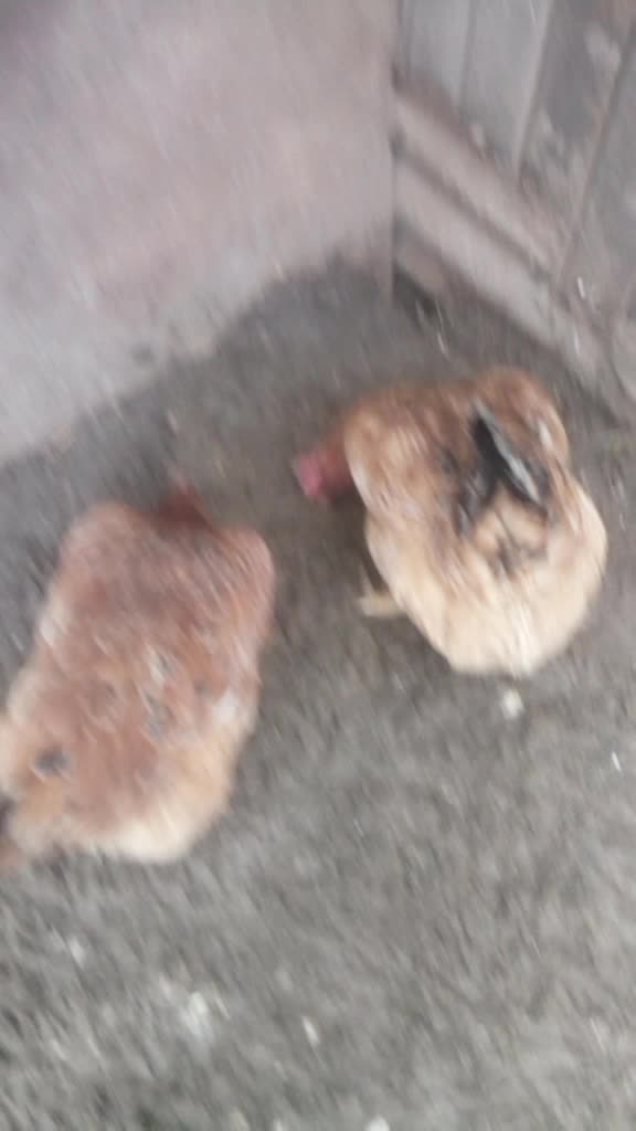 @🙃💔ash💔🙃