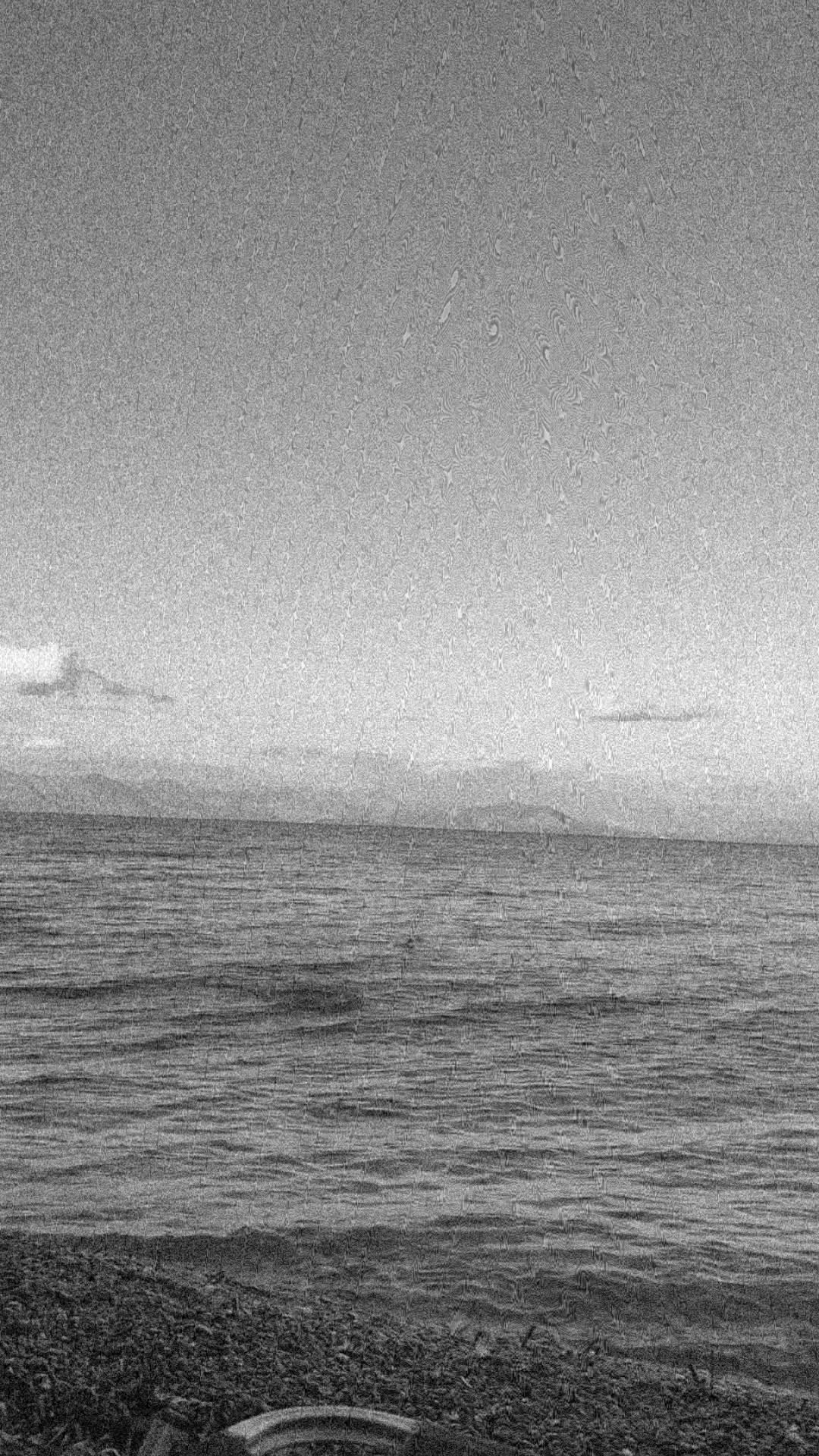 @Jenny Riba