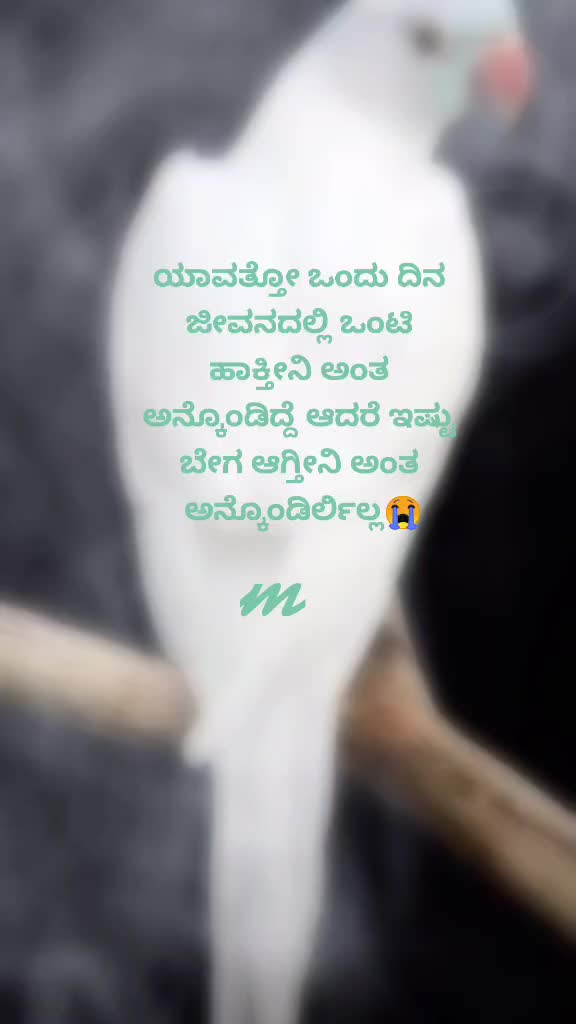 @user93828096734