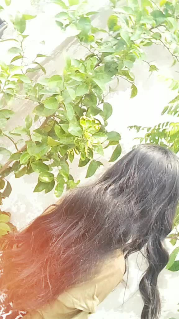 @Bimla Bhandari