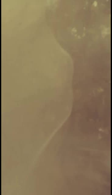 @honey_blunt