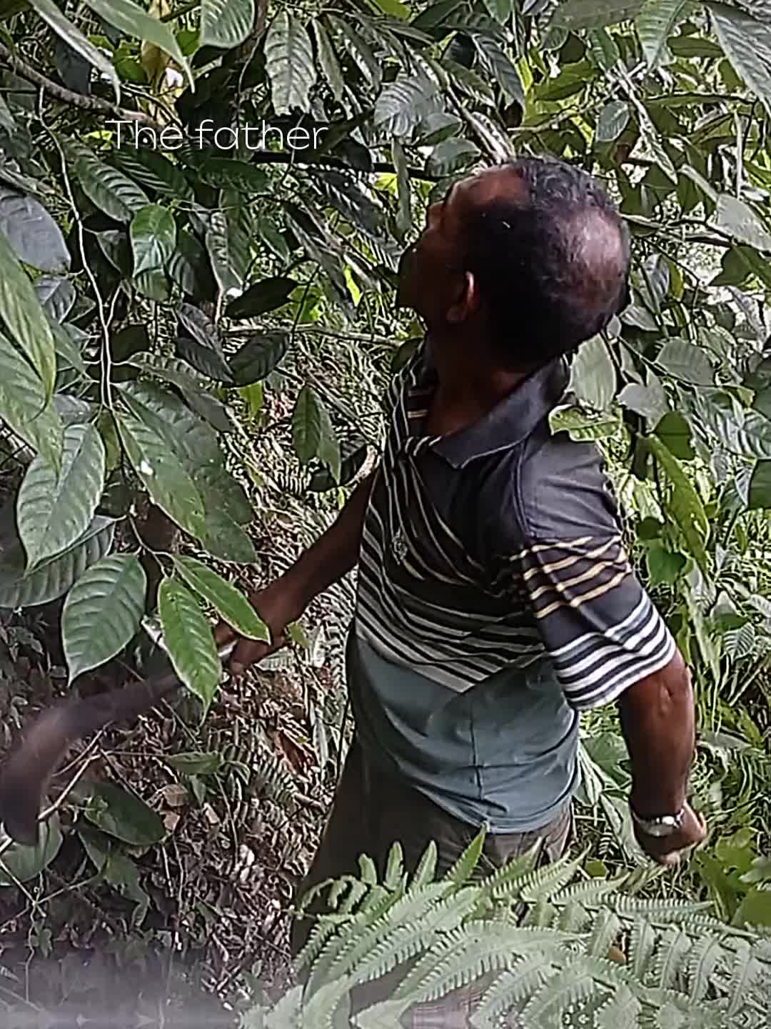 @capstokpatah