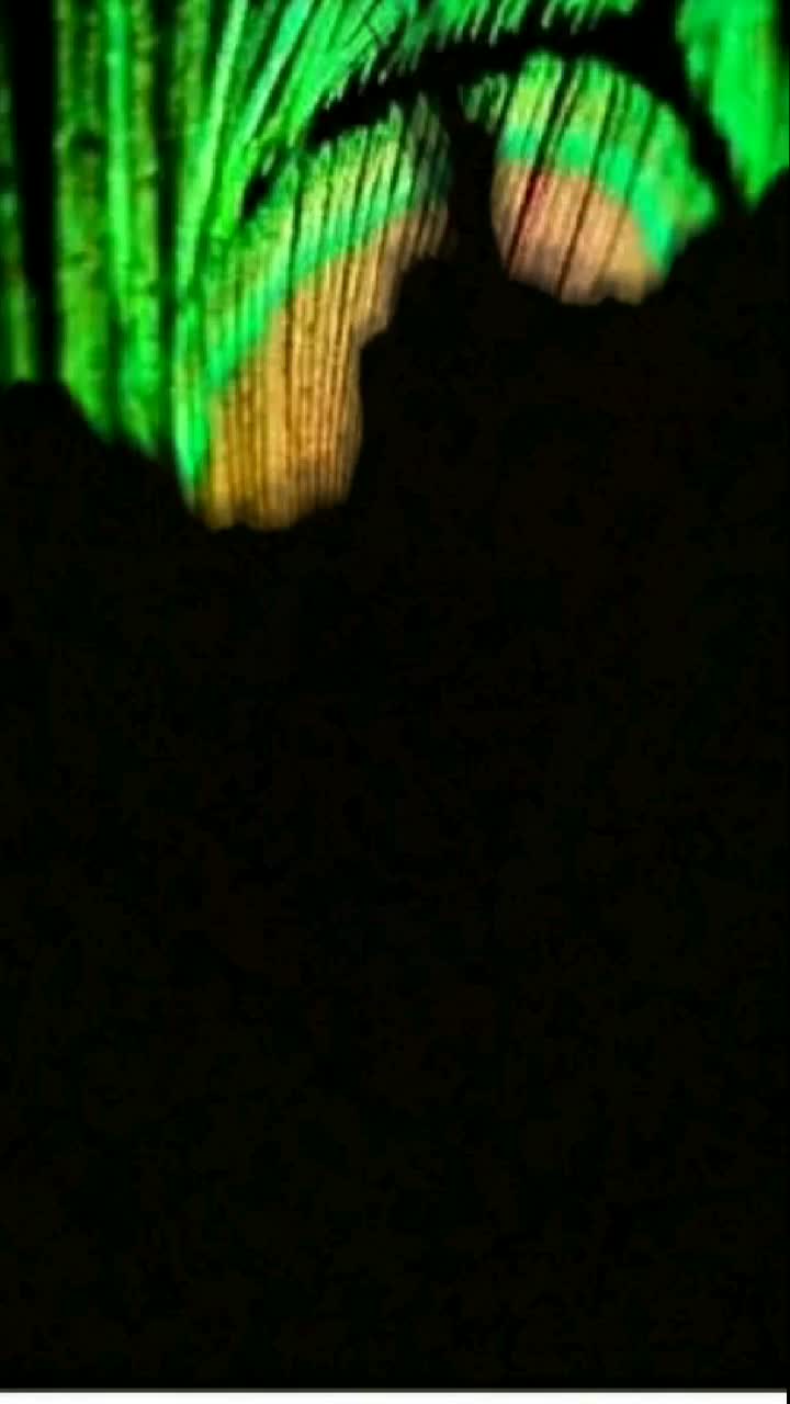 @⬛ ◼ ☣ ◼ ⬛