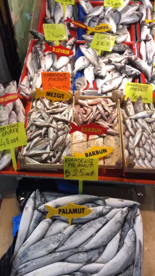 @Yılmaz Balıkçılık