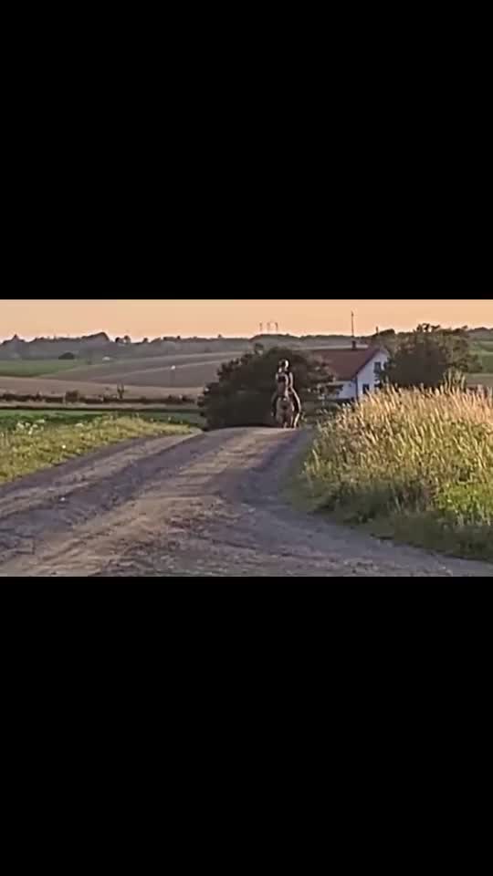 @đŠ