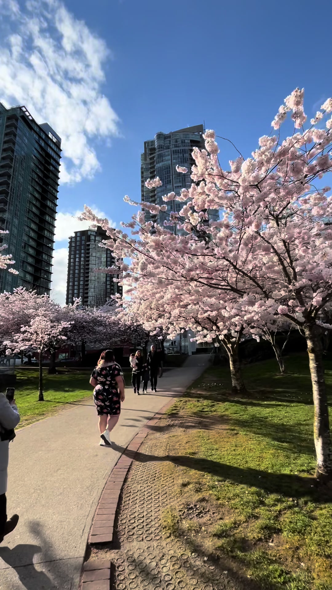 @Levina🇨🇦🇯🇵