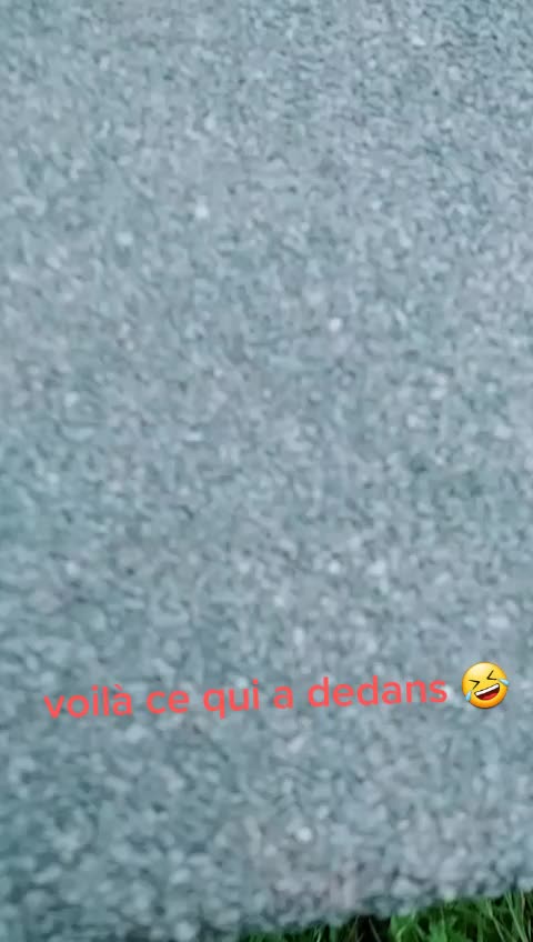 @user4070396009381