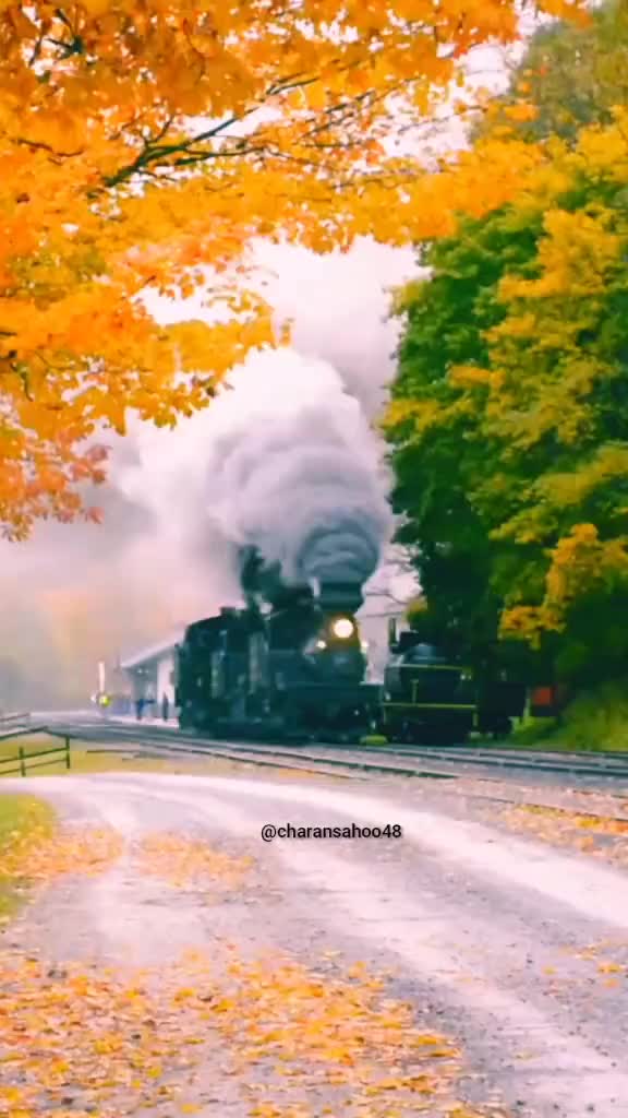 @official____-_mahi