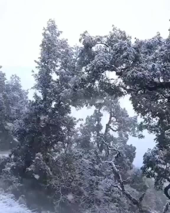 @❤️&hearts;️NaTure Lover❤️❤️