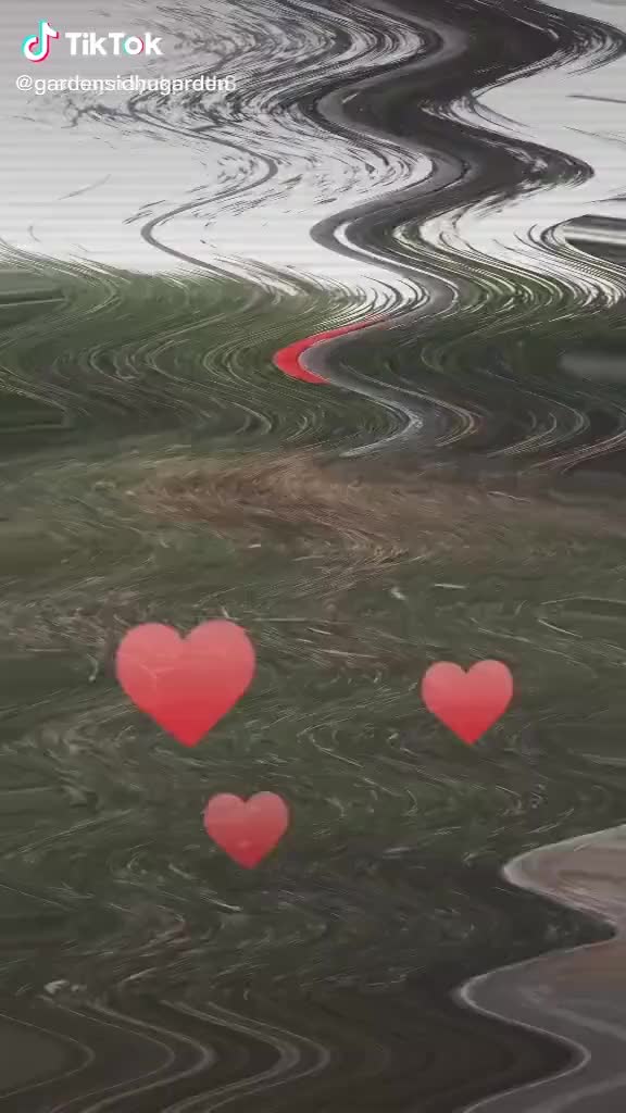 @Siddu siddu Siddu si