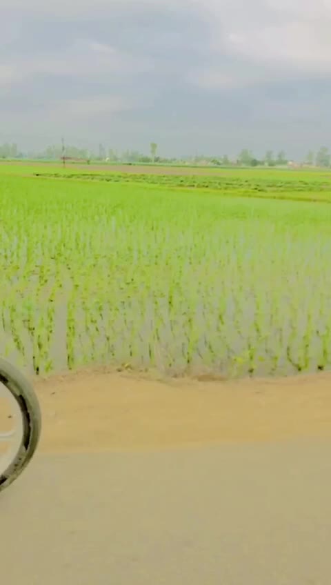 @Vishal  Amloha