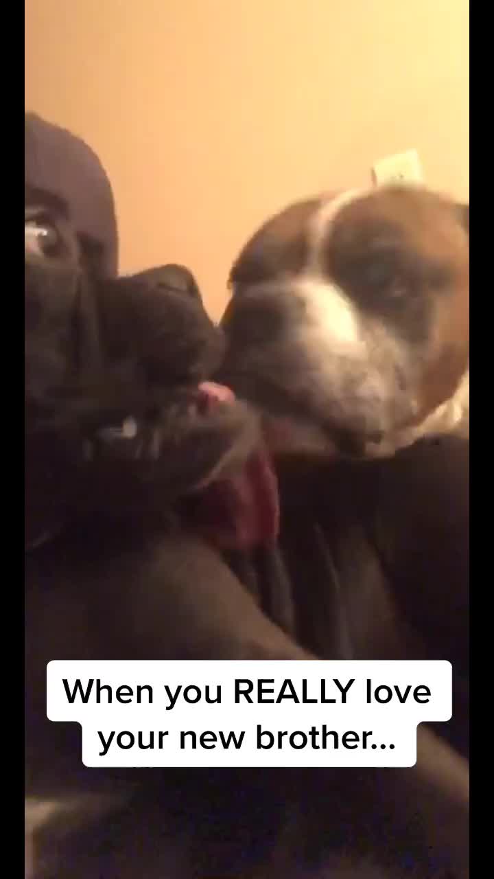 @C