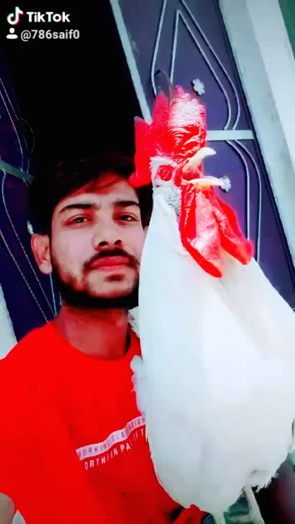 @Shahzad KAALI
