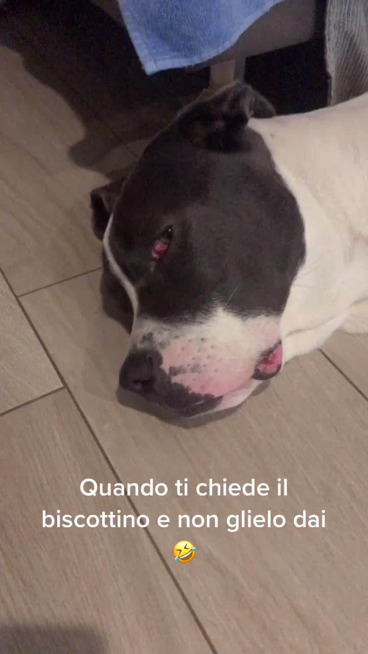 @Anna Antonacci