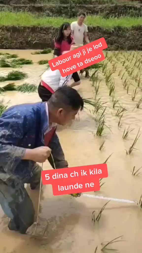 @Harrie Handa