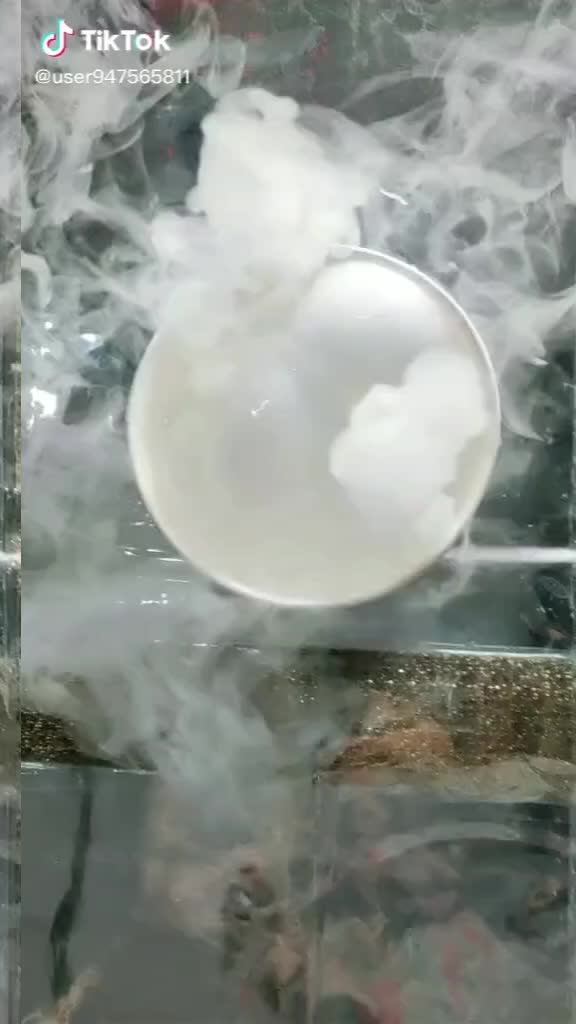 @Honey Shrivashtav