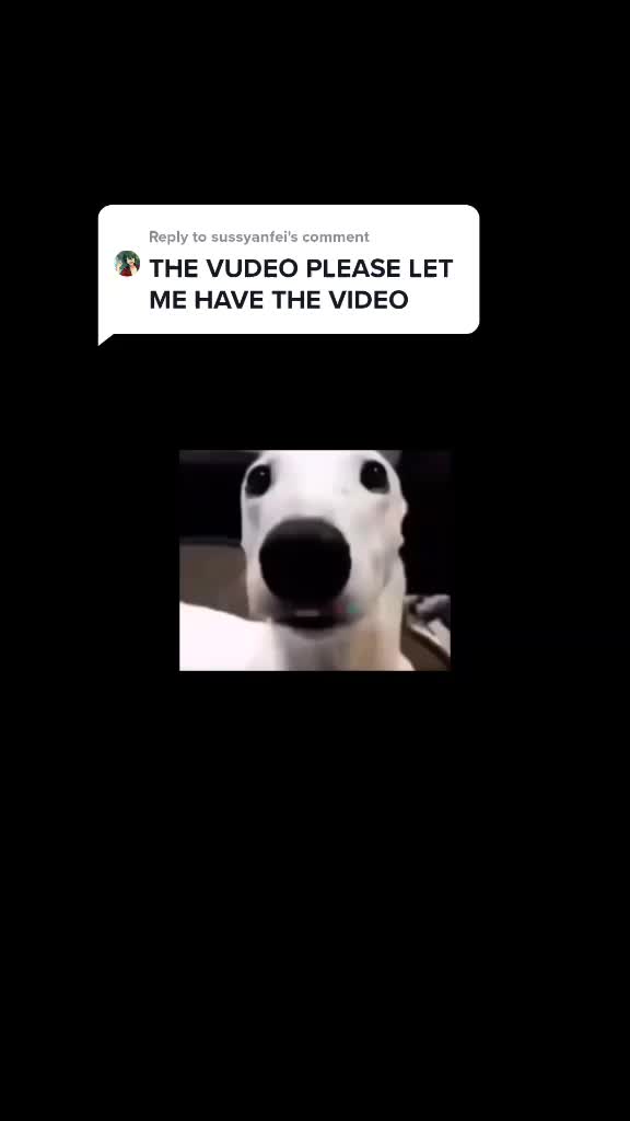 @:D
