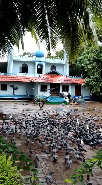@Rahul Thekkedath