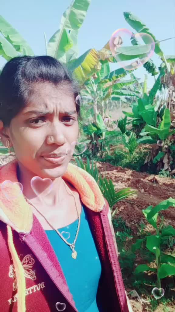 @ರೋಸ್ಮೇರಿ ಎನ್ ಎಸ್ 🌹