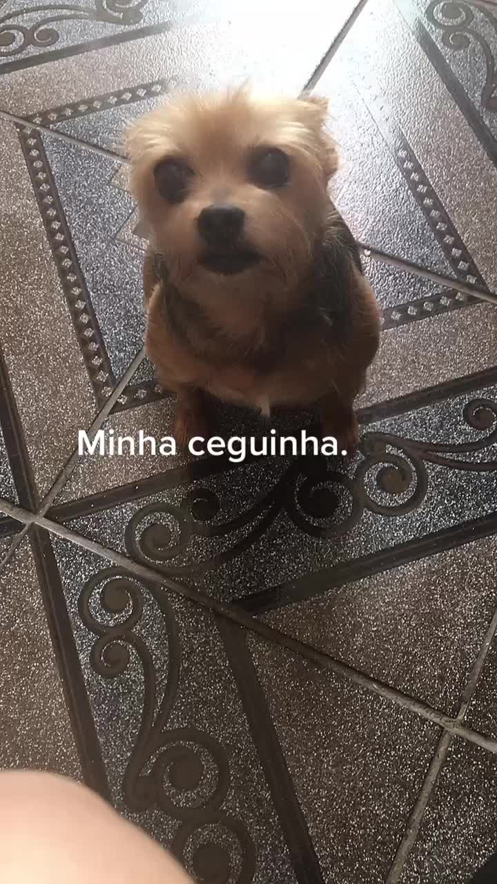 @Raquel Harazin