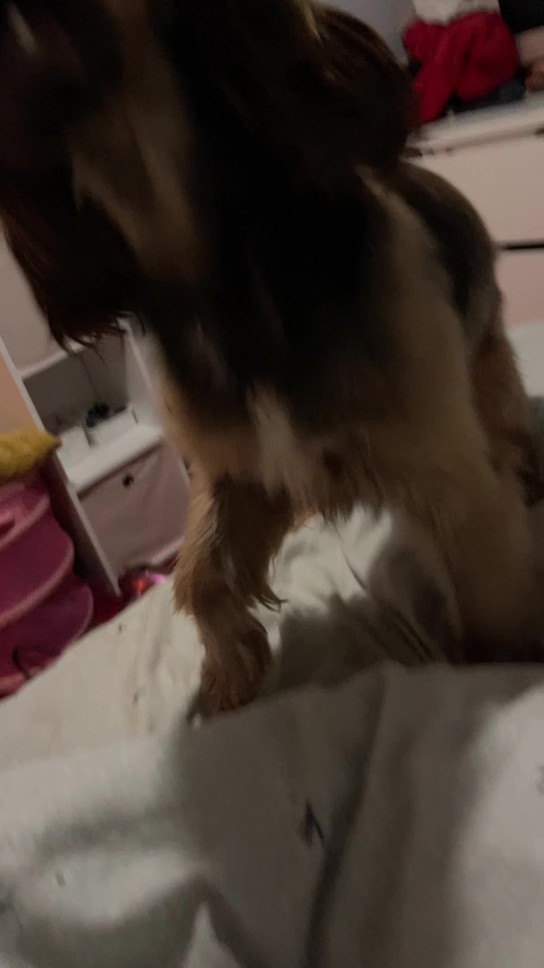 @tilly._.jean