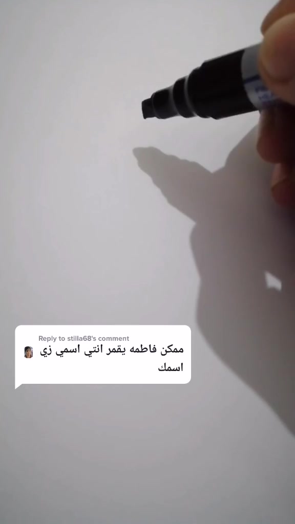 @Fatma Barakat