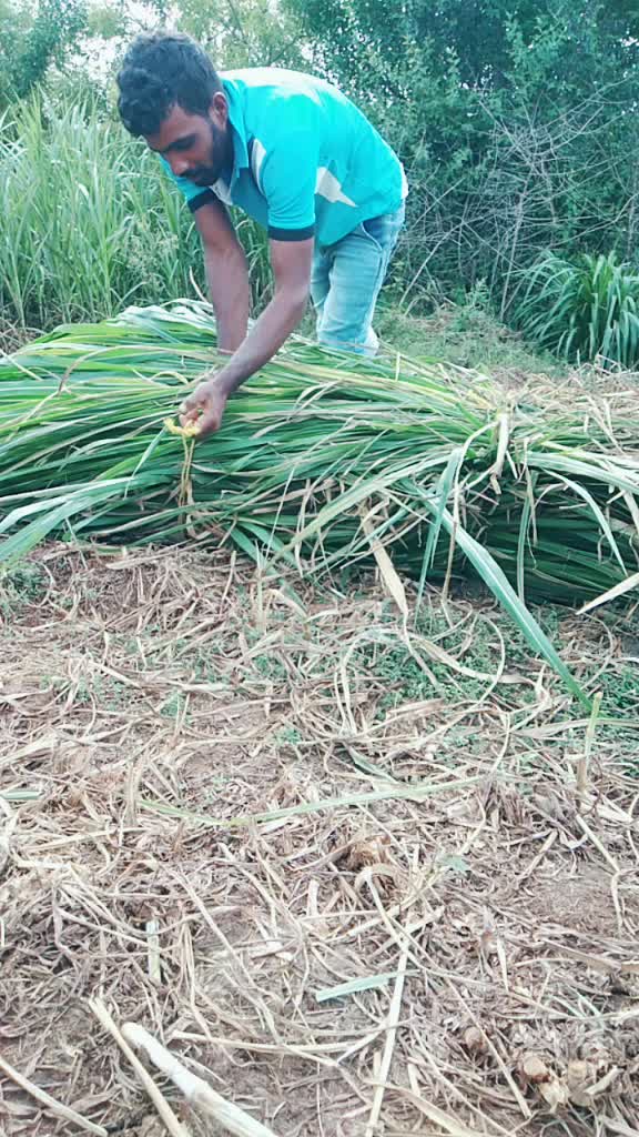 @ಅಭಿಗೌಡ ಕಬಡ್ಡಿ