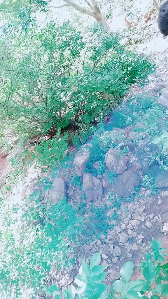 @சின்னப்பூவன்  பூ  வி
