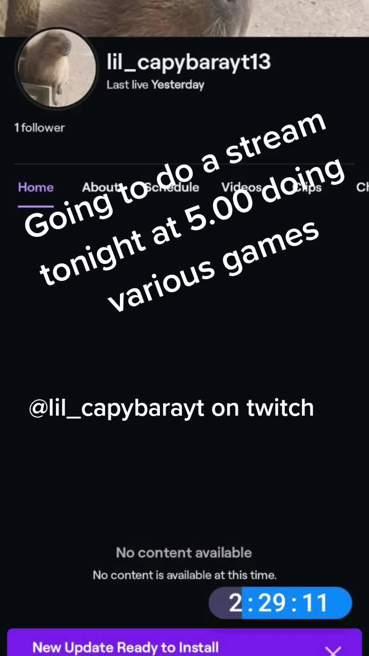 @Lil_CapybaraYT