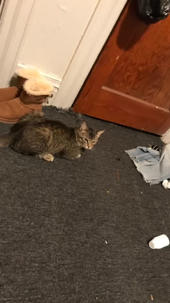 @Hi